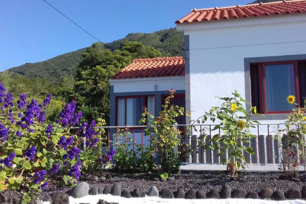 Sunflower Guest House - Madalena - Pico Sao Caetano  Exterior photo